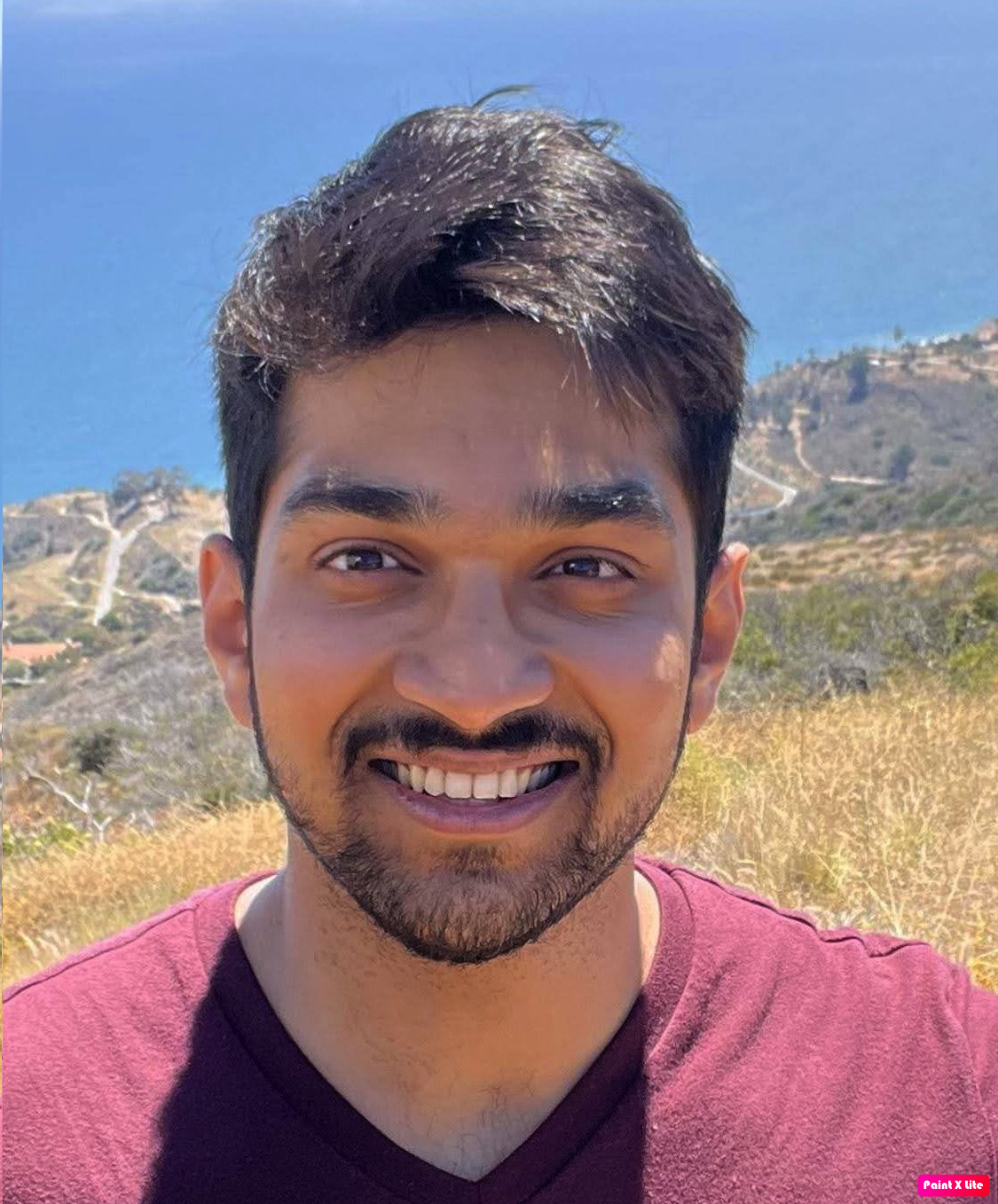 Swapneel Mehta